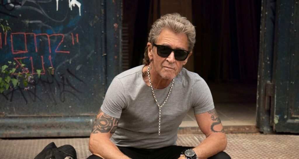 Peter Maffay Vermögen